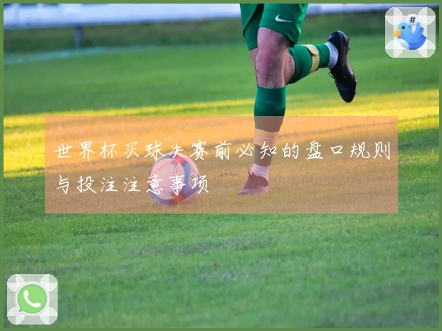 世界杯买球决赛前必知的盘口规则与投注注意事项