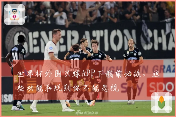 世界杯外围买球APP下载前必读，这些功能和规则你不能忽视